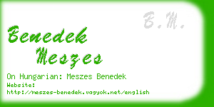 benedek meszes business card